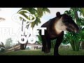 ЦЕНТРАЛЬНОАМЕРИКАНСКИЙ ТАПИР #23 PLANET ZOO ПРОХОЖДЕНИЕ