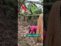 Você NÃO vai acreditar do que essa bolsa de luxo é feita 😱