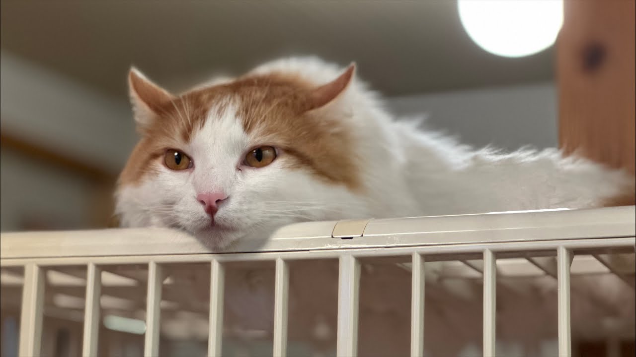 つるドラ！ ド深夜に横浜から名古屋へ下道ドライブ