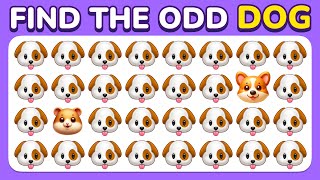 Find the ODD One Out - Pet Edition 😻🐶🐹 Easy, Medium and Hard Levels