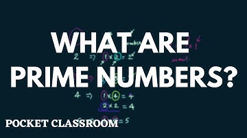 What Are Prime Numbers? || Grade 6