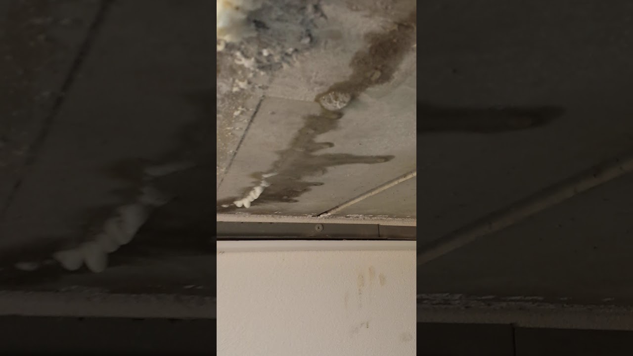 Iniezione resine per larresto di infiltrazioni dacqua youtube Infiltrazioni di acqua