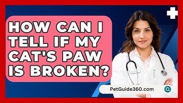 How Can I Tell If My Cat