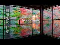 【美しい苔の絨毯と魅惑の庭園】 Kyoto Rurikoin Temple 京都 瑠璃光院 Garden of Autumn Leaves and Moss DJI Pocket2