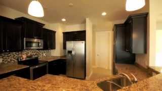 Harbor Home Builders Antwerp Circle South Gulf Cove FL