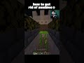 Minecraft Zombie Moment