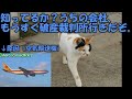 名航空会社列伝「全米最高の航空会社」コンチネンタル航空　第２話・破産危機