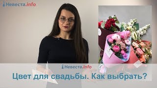 видео Цветовые решения для ресторана