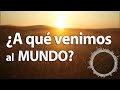 ☕¿A qué venimos al mundo? | ACEPTOLOGÍA