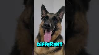 You Locked In Legend, Sub