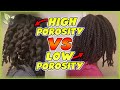 HIGH POROSITY  -vs-  LOW POROSITY: How to master your natural hair