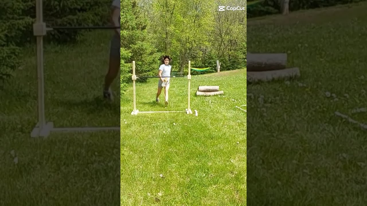 Hobby Horse Jump Hobbyhorse Youtube Shorts
