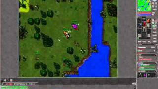 Tibia Noob Pk