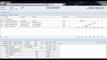 Entering Timesheet Activities in Alert Stratus for Microsoft Dynamics CRM 2011