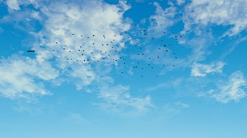 Animated Flock of Birds - Blender Boid Particles