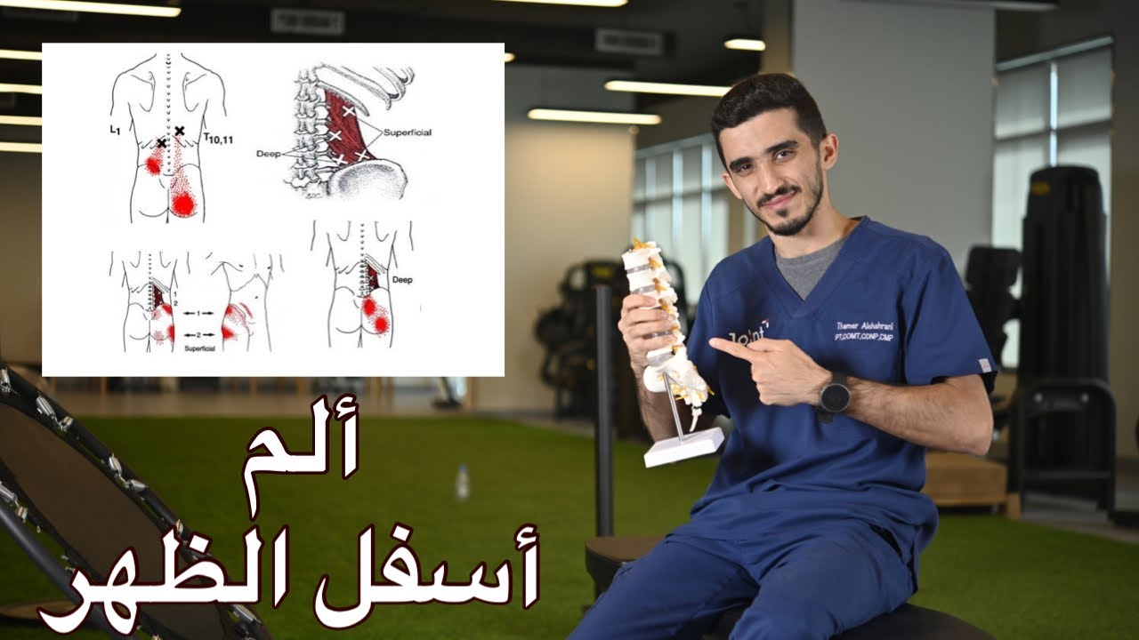 ألم أسفل الظهر ( شد عضلة QL ) تمارين تخفف الألم والشد