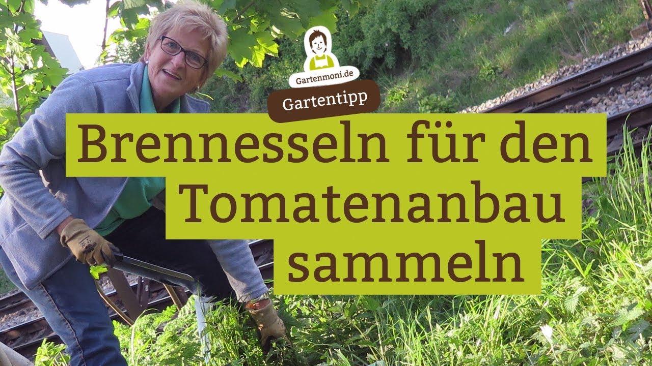 hanf dünger hausmittel Green Home Hanf & Cannabis Blüten Dünger main image 0