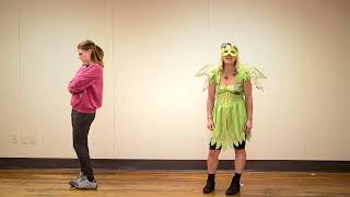 The Green Pixie v. Naysayer Nancy