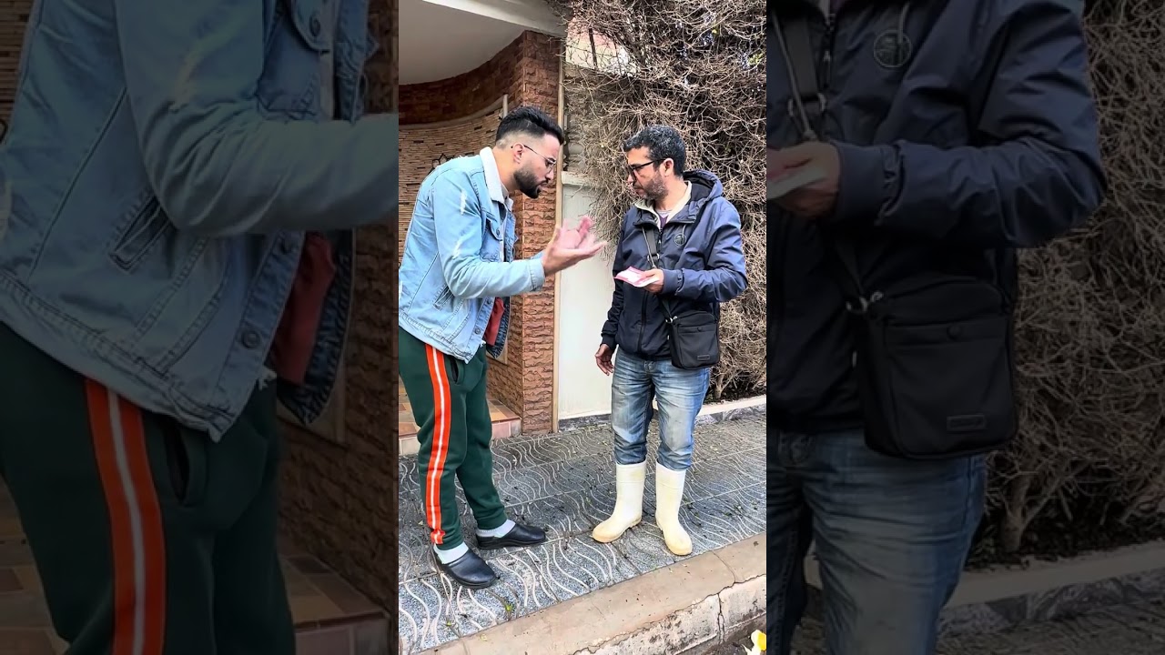 تيمي وشناقة