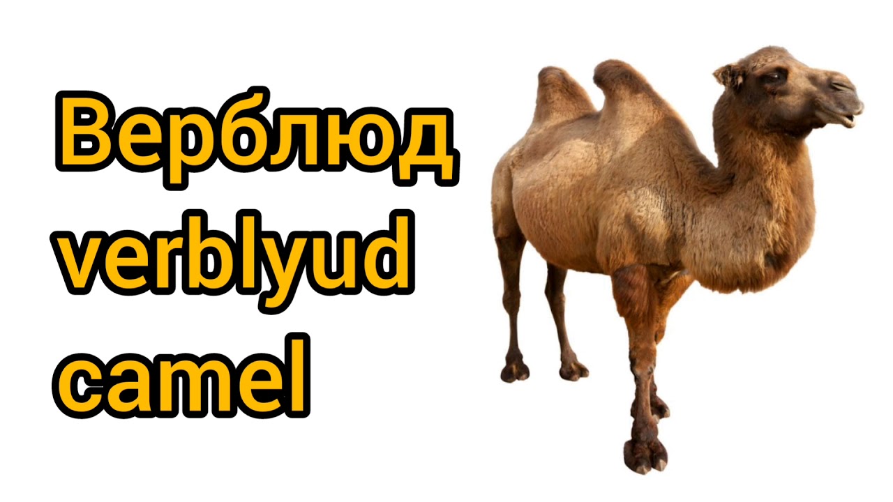 Чанган как произносится