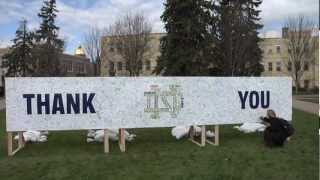 A Thanksgiving Message