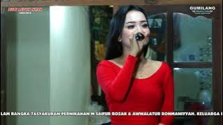KU LEPAS DENGAN IKHLAS FEBI PESEK - NEW LEVYS STAR BANJARAGUNG WEDDING SAIFUR & NIA