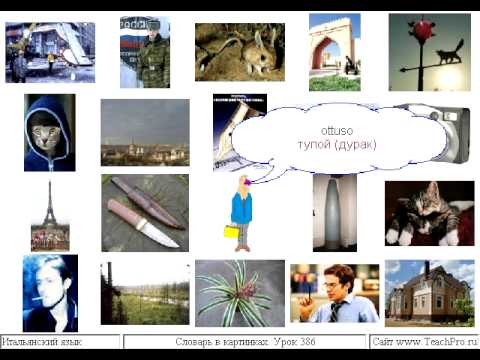 Урок 386 прилагательные