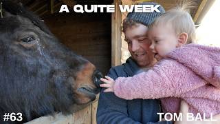 A Quite Week (Vlog #63)