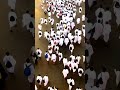 تكبيرات عيد الأضحى المبارك كبروا ليبلغ تكبيركم عنان السماء كبروا فإن الله عظيم يستحق الثناء