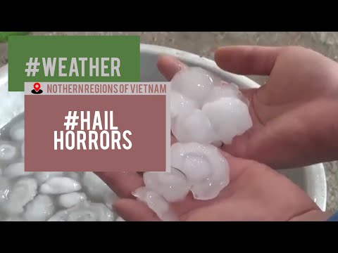 WEATHER: Hail storms led to three deaths and a trail of destruction in northern regions of Vietnam