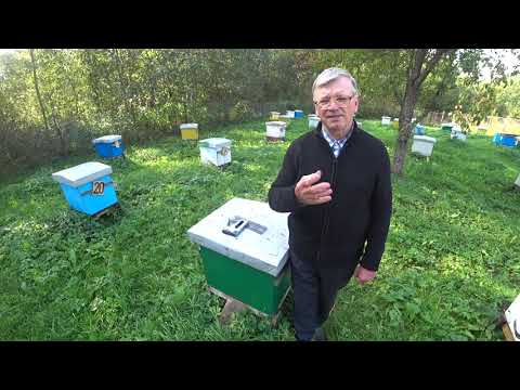 Что должен знать