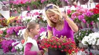 Mills Fleet Farm Garden Center
