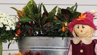 Quick and Easy Fall Container!