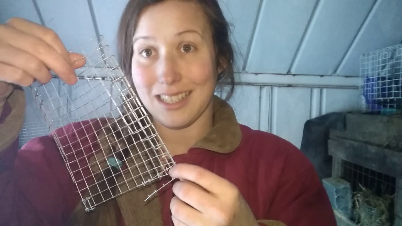 Make Your Own Hay Feeders For Your Rabbits YouTube
