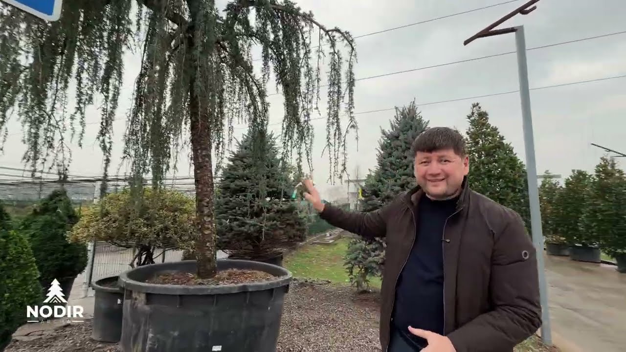 2026 yil Yangi Mahsulot NARXLARI !