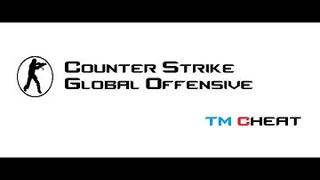 TMCheats.com CSGO Cheat | SLIENT AIMBOT | TRIGGERBOT