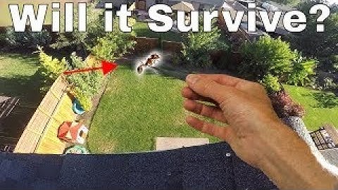 Dropping an Ant from the Empire State Building: The Shocking Truth!