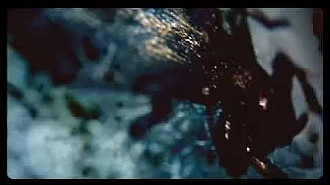 Tom Waits - "Army Ants"