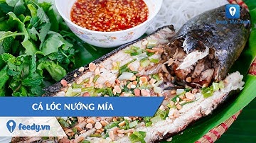 Hướng dẫn cách làm món CÁ LÓC NƯỚNG MÍA | Feedy VN