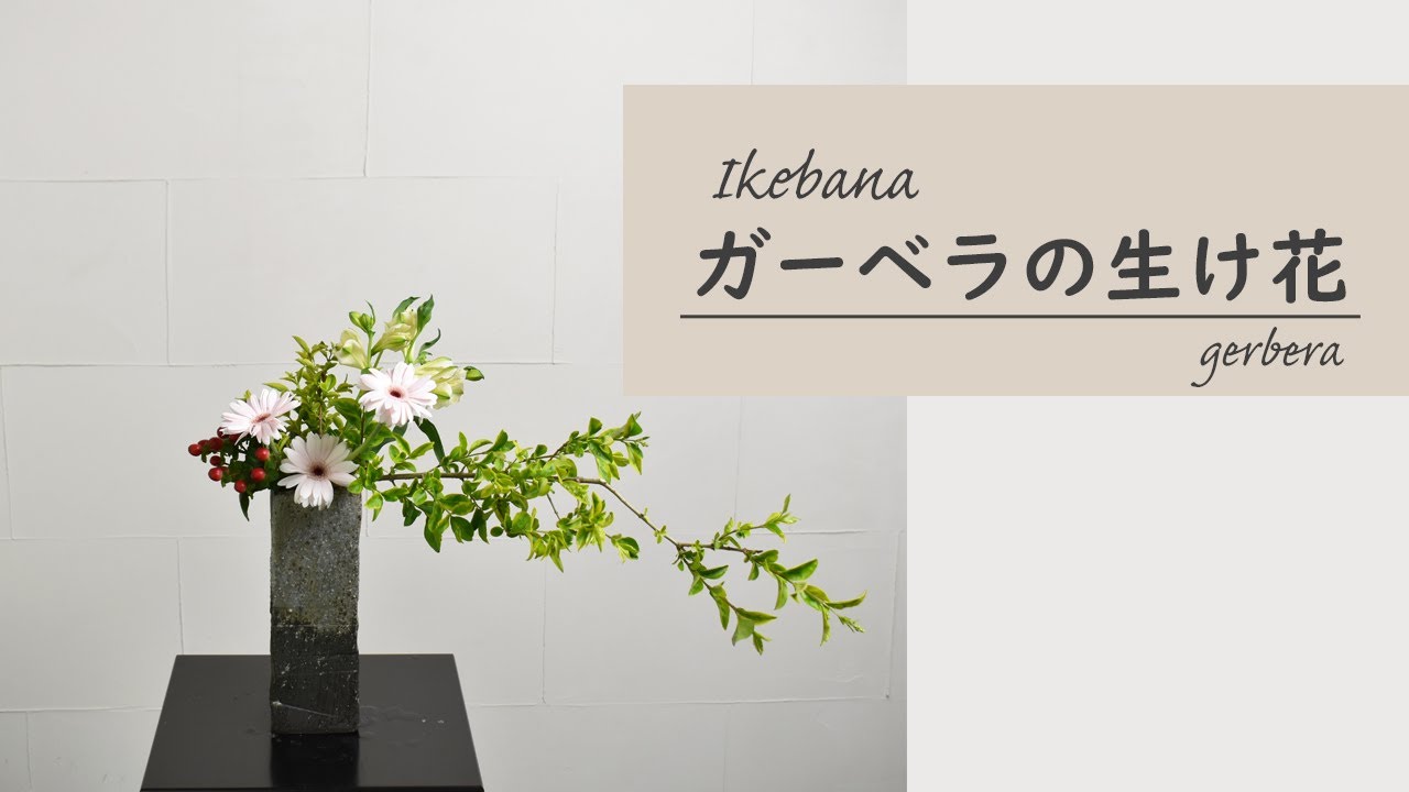 【初夏のガーベラの生け花】　グリーンをたっぷり使って爽やかな横長の作品を活けてみたよ！　ikebana style class Japanese flower arrangement