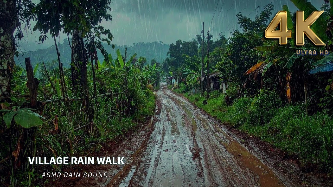 Rhythm of the Rain: Muddy Footsteps & Rubber Leaves ASMR:  An ASMR Rain Walk for Deep Sleep
