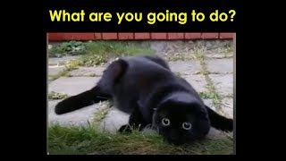 Guess What Are You Going To Do? Fails 2019