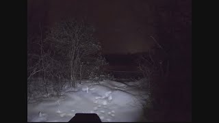 Walking at night in a supposedly haunted forest (Strange sounds)