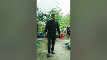 Watch us cook delicious dishes at a wedding party #food #streetfood #thaifood