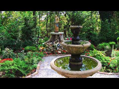 Video: What Is A Virgin Mary Garden: How To Create A Mary Garden In The Landscape