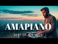 NEW PLAYLIST AMAPIANO ON LAST FEBRUARY 2026 AMAPIANO MIX 1 Hour Nonstop South African Party