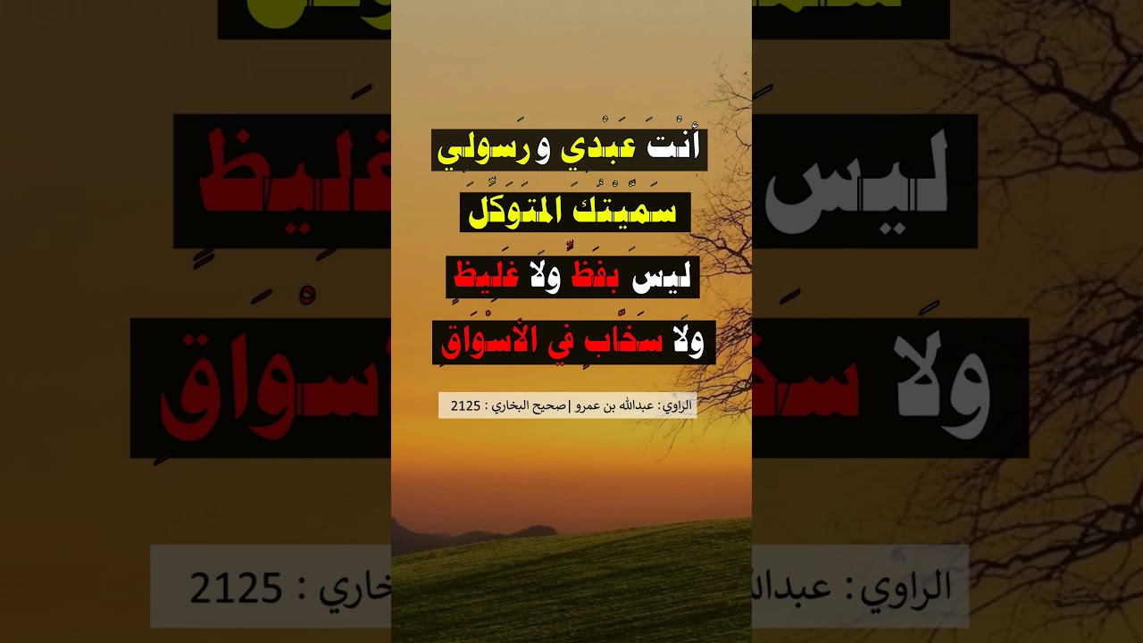 صفة رسول الله ﷺ في التوراة - الشيخ عبد الرزاق البدر
