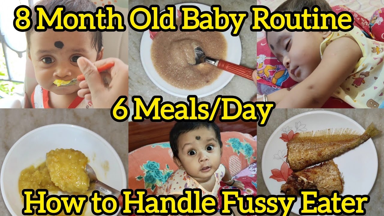 8 মাসের ত্রিহান সারা দিন কি খাওয়া দাওয়া করে||8 Months Old Baby full Day Routine||