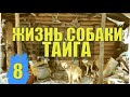 СЛУЧАЙ В ТАЙГЕ БЕРЛОГА МЕДВЕДЯ ПРОМЫСЕЛ СПЯЩИЙ СУДЬБА  СОБАКИ МЕДВЕЖАТНИК ОХОТА НАПАДЕНИЕ В ЛЕСУ 8