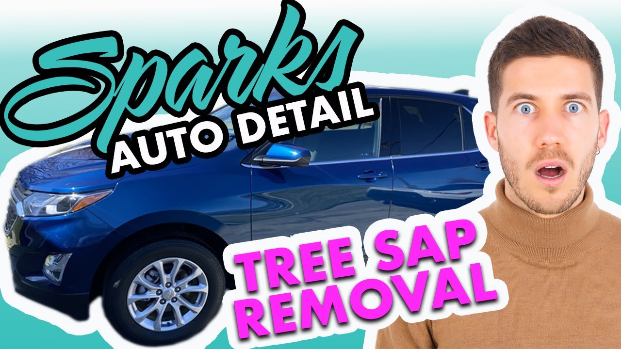 Sparks Auto Detail tree sap removal and paint correction YouTube
